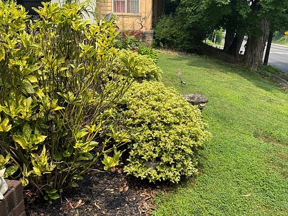 4th image of 7920 Old York Rd