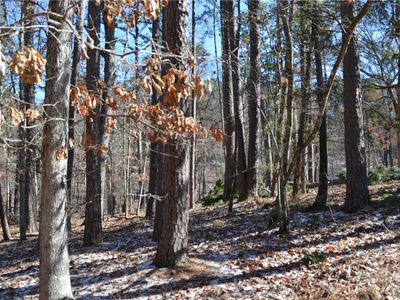 Horatio Ln #17, Bella Vista, AR, 72714