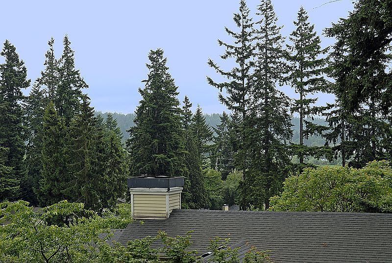 A treasure of tranquility 