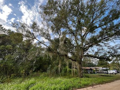 Stauffer Rd, Green Cove Springs, FL, 32043