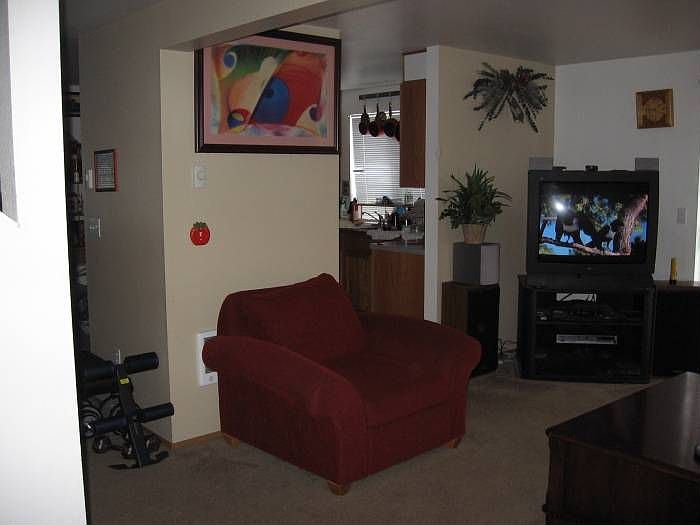 downstairs living room