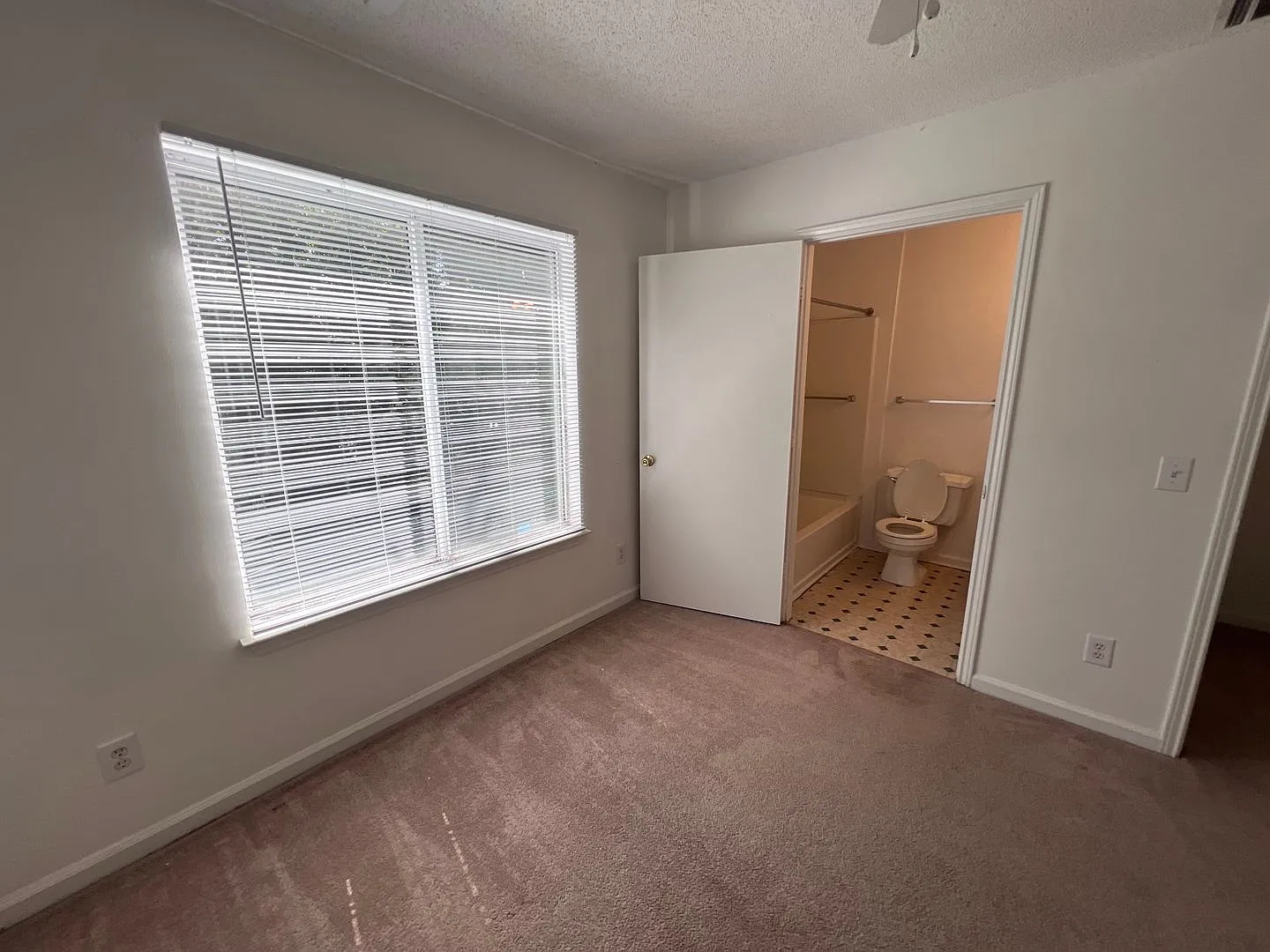 4 Bed 4 Bath At Univeristy Commons! One Month Free!! — Photo 4