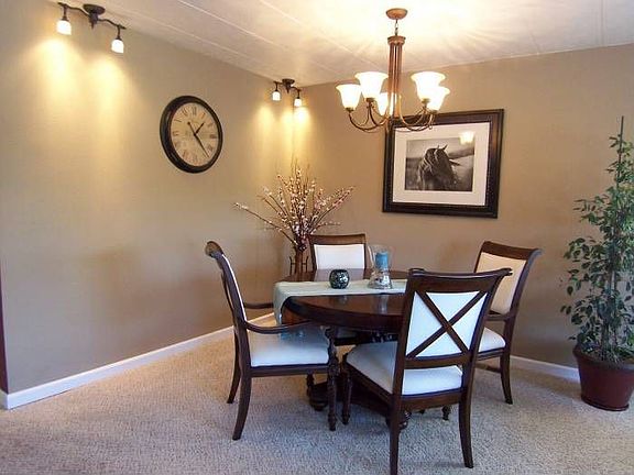 Oiled bronze light fixtur