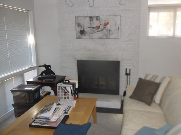 Wood burning fireplace