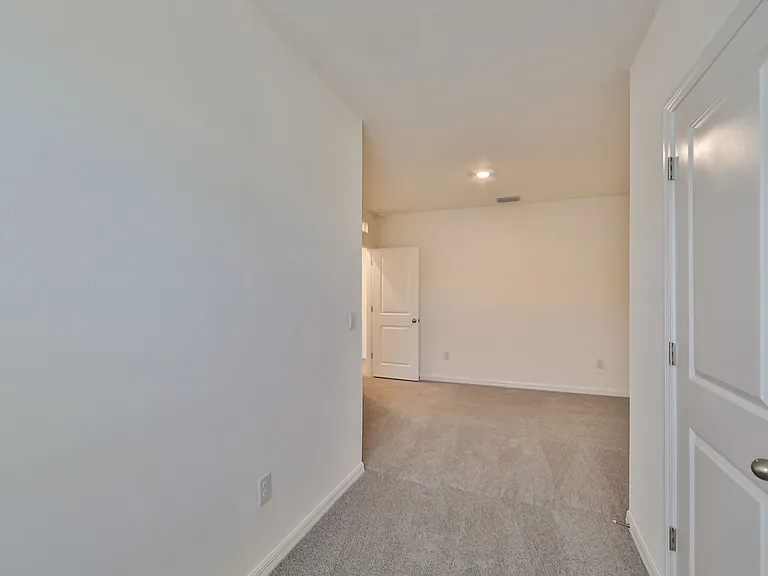 233 Mangrove Shade Cir — Photo 26