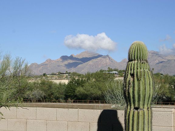 view of catalina mountains from backyard