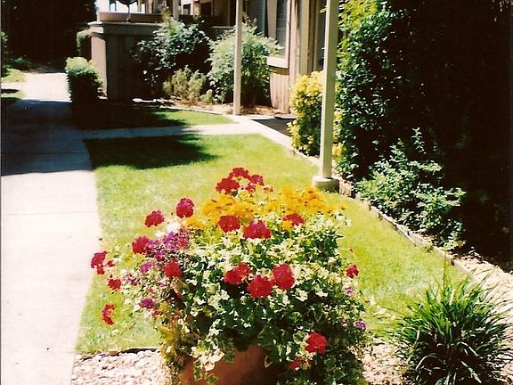 Beautiful Garden Property