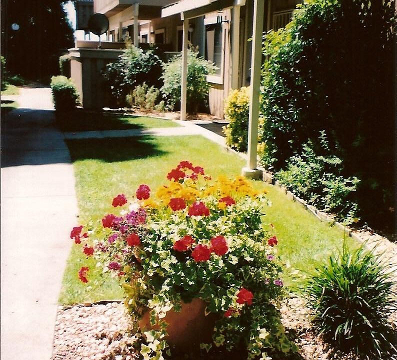 Beautiful Garden Property
