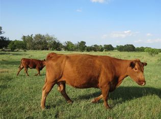 829 Fm 52, Graford, TX 76449