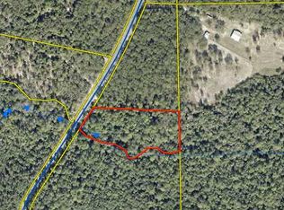 Kings Lake Rd, Defuniak Springs, FL 32433