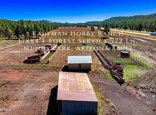 17XX4 E Forest Service Ln #772, Munds Park, AZ 86017