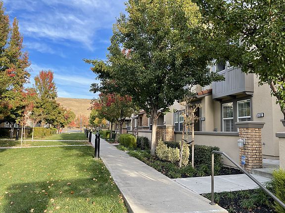 green spaces in front of the house