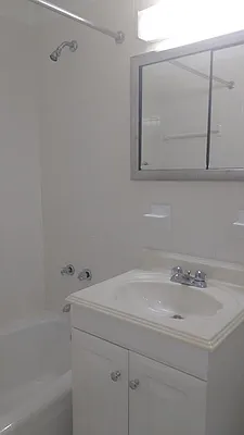 Rented by Manhattan Flats | media 17