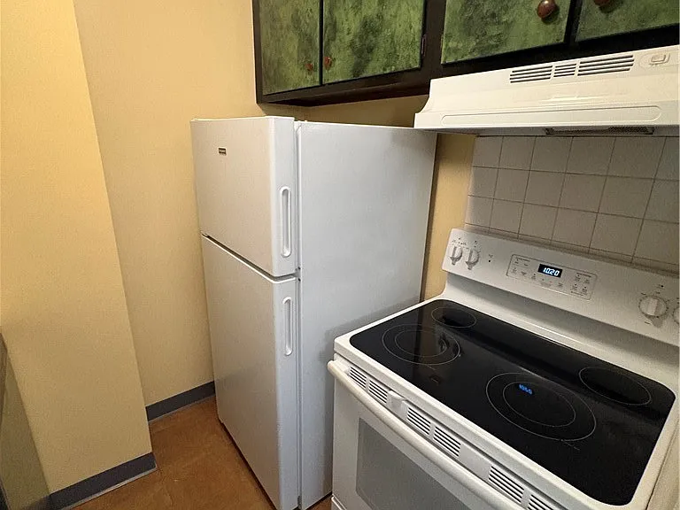 493 Delaware Ave #3 — Photo 22