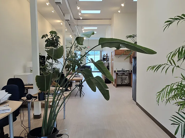 425 Cedar Ave #2 — Photo 14