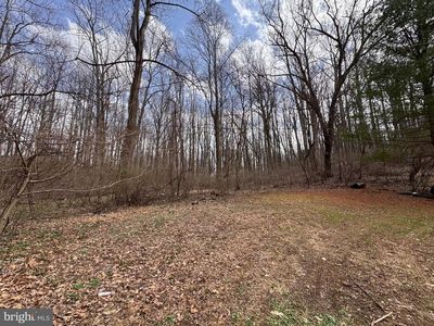 SNOWDEN CREEK, Marriottsville, MD, 21104