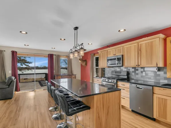 10330 W Lake Rd, Rice, MN 56367