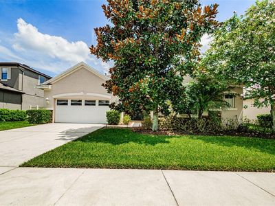 21814 Southern Charm Dr, Land O Lakes, FL, 34637