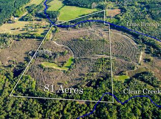 81 N Creek Rd, Florala, AL 36442