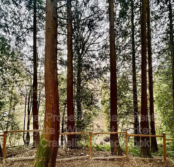 450 W Alder Dr — Photo 15
