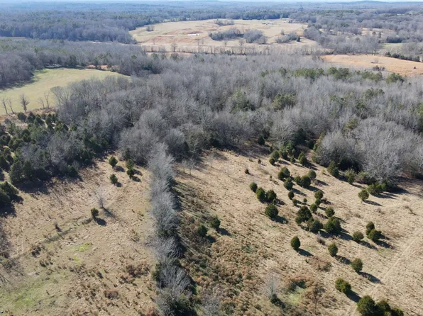 0 Pearl Ln, Grand Junction, TN 38039
