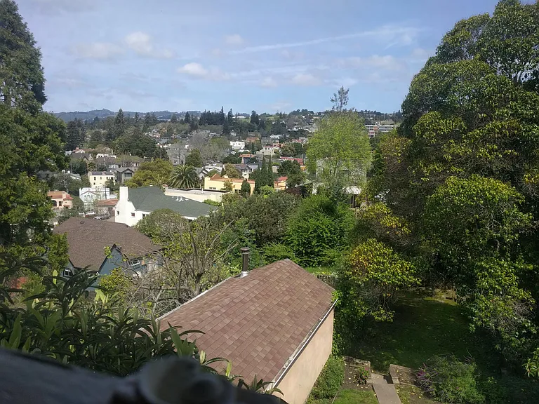 View of Piedmont hills from a rear bedroom.