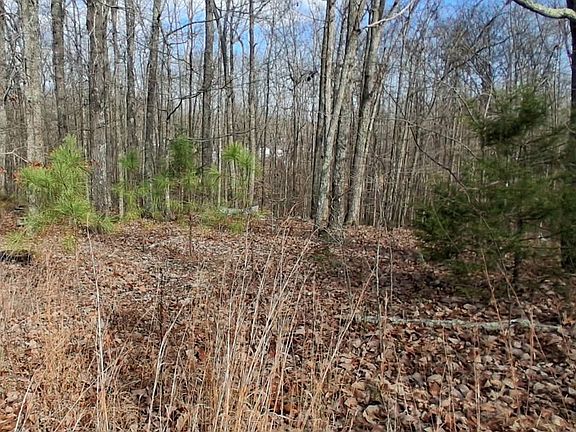 4th image of 1201 Tie Camp Rd