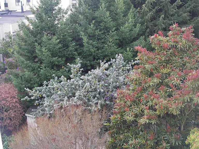 View of interior block gardens from rear of the building