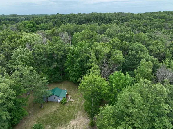 1198 N Bingham Ave, White Cloud, MI 49349