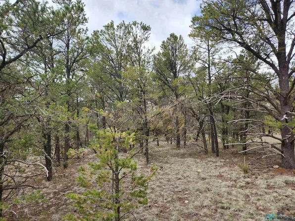 El Caso, Quemado, NM 87829