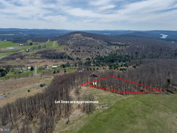 14 May Apple Trl, Swanton, MD 21561