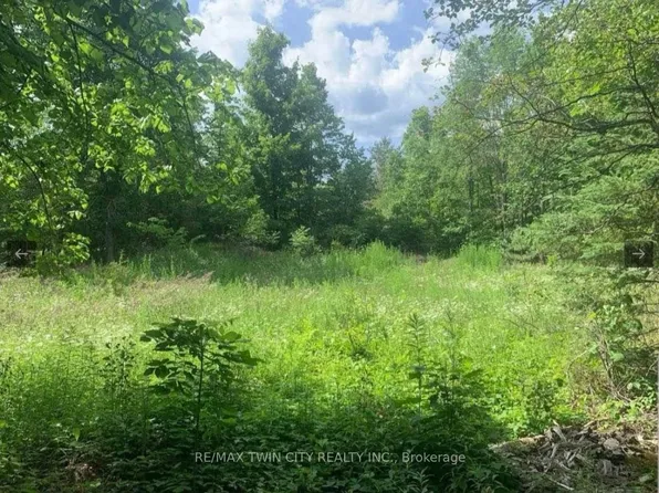 LOT 12 Suter Dr, Kawartha Lakes, ON K0M 2B0