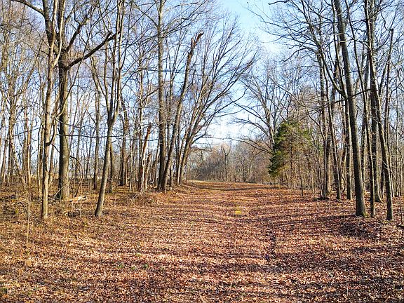 3rd image of 43 Esquire Hunt Rd