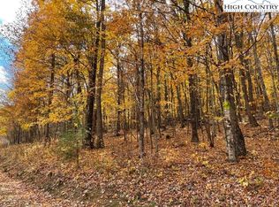 27 Winter St, Jefferson, NC 28640