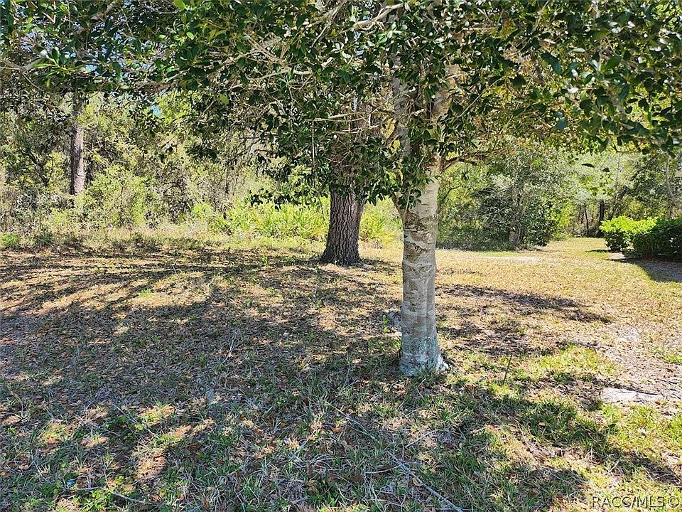 2nd image of 9 Cupania Ct