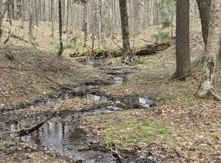 Orange Road Blue Rd, Nisula, MI 49952