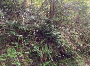 14 N Dow Ridge Rd, Hoodsport, WA 98548