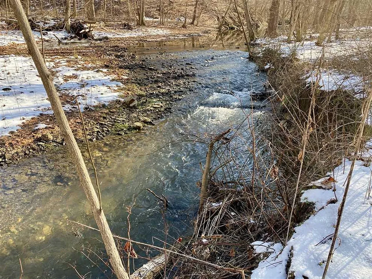 S Ridge Rd photo 1