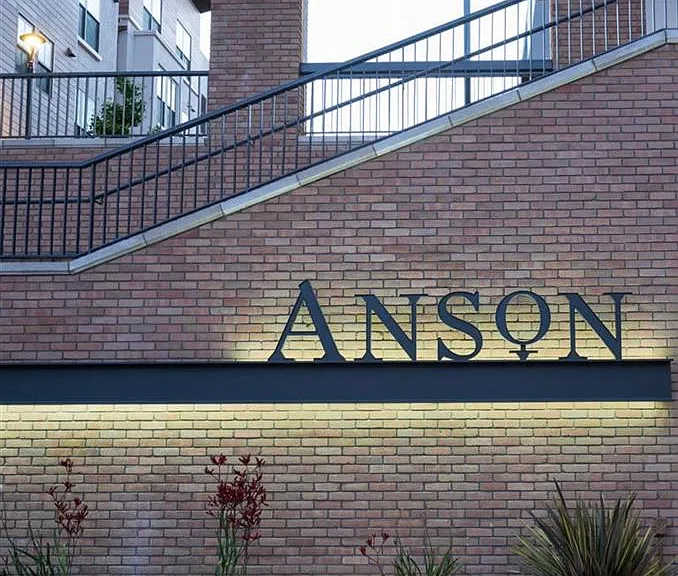 Anson — Photo 40