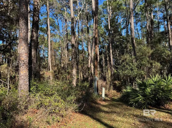 1106 Narbonne Pl #68, Dauphin Island, AL 36528