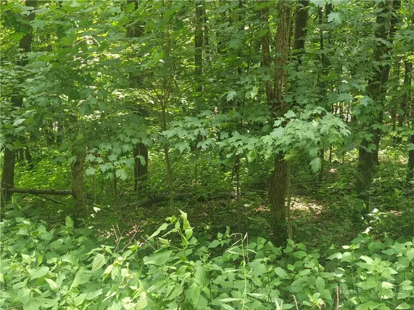 Lot 90 Thorncliff Drive, Boone, NC 28607