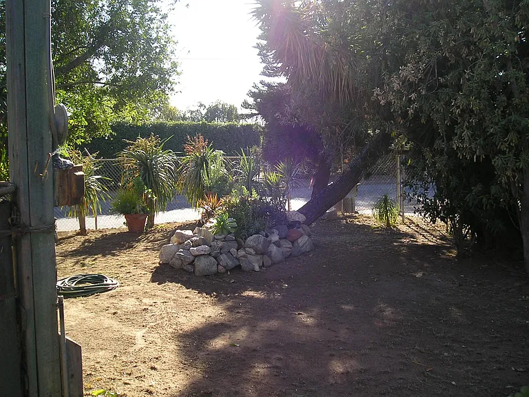 210 Palomino Rd — Photo 8
