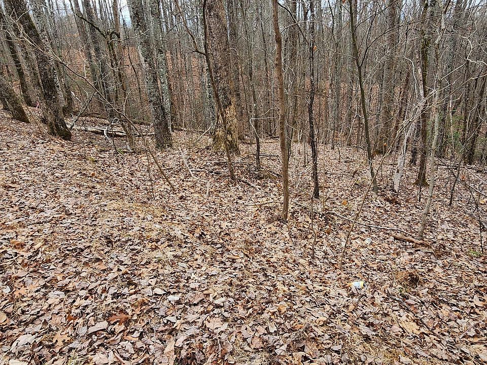 1st image of 2225 King Hollow Rd