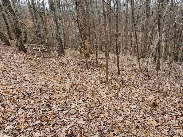 2225 King Hollow Rd, Sevierville, TN 37876