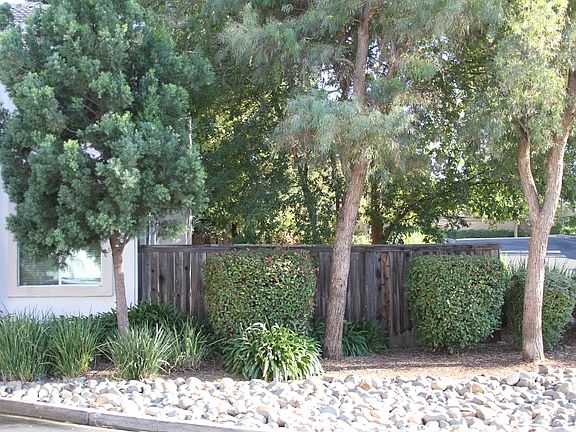 Side Yard