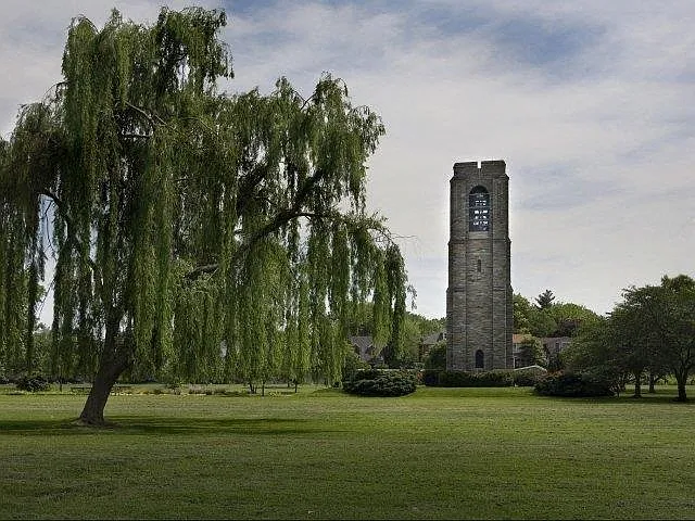 VistaView — Photo 23
