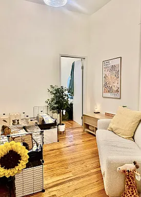 247 E 62nd St #2 — Photo 1