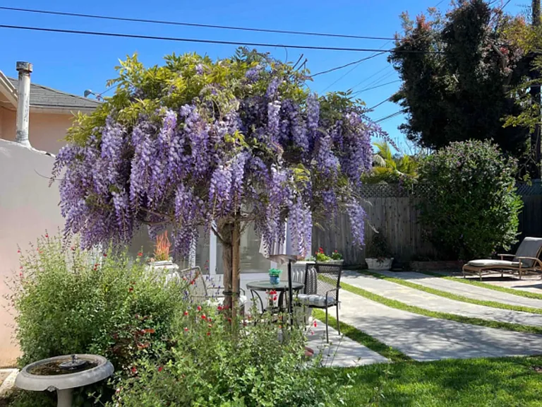 Burkshire Ave — Photo 11