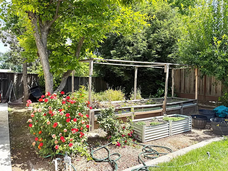 1540 Guadalajara Dr — Photo 10