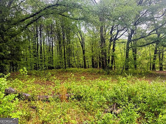 5th image of Caldwell Rd
